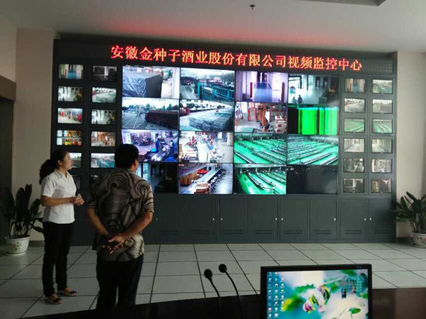 阜阳市金种子集团